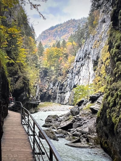 The image depicts a scenic gorge with a river flowing through it. A wooden walkway with a metal railing runs alongside the gorge, offering a path for visitors. The rocky walls of the gorge are covered in moss and vegetation, with trees displaying autumn colors on the slopes above. The river appears to be fast-flowing, with rocks and boulders scattered in its path. The sky is overcast. The scene appears to be a natural landscape, possibly a tourist attraction for hiking or sightseeing. There are no specific landmarks or features that would indicate it is located in the city of Porrentruy, Switzerland.