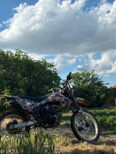 In Glufishevo, Bulgaria, a dirt bike is parked in a grassy area with trees and a blue sky with clouds in the background. The dirt bike is predominantly black with a colorful, patterned decal on its body. It has a black exhaust pipe and silver spokes on its wheels. The front wheel of the bike is turned slightly to the left, and the rear wheel is partially obscured by tall, dry grass. The background features lush green trees and a few distant buildings. The overall lighting suggests it is daytime, possibly late afternoon due to the warm light.