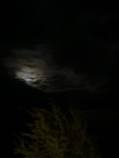 The image depicts a nighttime scene in Gorna Kremena, Bulgaria. The left side of the image is dominated by darkness, transitioning to a vertical area of light reflecting off a textured surface, possibly a natural rock formation or cliff. To the right, there is a tree or large bush with detailed foliage visible against the dark background. No people are visible. The environment is poorly lit, with the source of light likely being the moon.