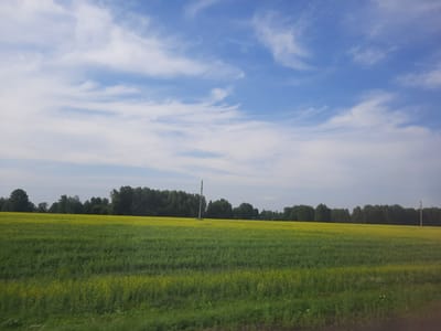 A wide shot captures a vast, green field with scattered yellow flowers under a bright blue sky with wispy clouds. A dense line of dark green trees forms a horizon at the far end of the field. In the distance, several utility poles with wires are visible. The image appears to be taken from a moving vehicle, as suggested by the slight blur in the foreground vegetation. The scene is one of natural rural beauty, likely in the outskirts of Krapivinskiy, Russia, given the context. There are no people or animals visible in the frame.