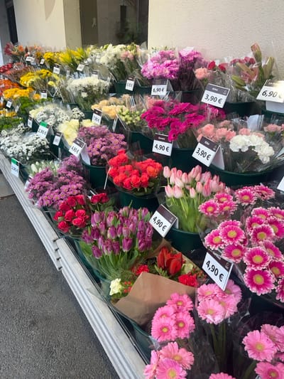 The image displays an outdoor flower market stall or shop frontage situated in Aiguilhe, France. The scene is dominated by a multi-tiered arrangement of numerous flower bouquets presented for sale. The ground consists of dark asphalt, leading to a light-colored, possibly stucco, building wall in the background.

The flower display is structured with several levels, utilizing green cylindrical containers to hold the bouquets. Each bouquet is individually wrapped in clear plastic sheeting, and some, particularly those in the lower right, also incorporate brown paper wrapping.

A diverse assortment of flowers is visible, encompassing a wide color spectrum including white, yellow, orange, red, various shades of pink and fuchsia, purple, and green foliage. Specific identifiable types include purple and pink tulips, red and pink roses, vibrant pink and fuchsia gerbera daisies, purple and white chrysanthemums, and white lilies.

Multiple white rectangular price tags are affixed to the display, indicating prices in Euros (e.g., 3,90 €, 4,90 €, 6,90 €, 8,90 €). Some tags also include printed flower names such as "Gillet" and "Gerrini." No individuals are present within the frame, and no actions or interactions are depicted.