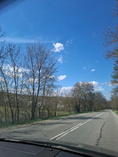 The image shows a view from inside a vehicle, likely a car, traveling on a paved road in Studeno Buche, Bulgaria. The road is marked with double white lines. To the right of the road, trees and vegetation line the edge. The sky is blue with scattered clouds and branches of trees framing the top left of the image. The interior of the vehicle is visible in the lower right corner.