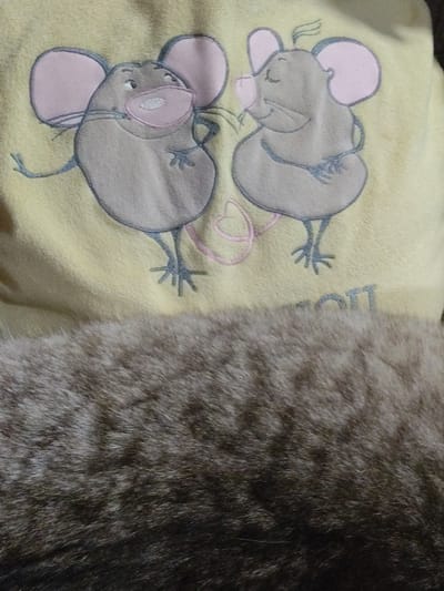 The image shows a yellow piece of fabric with two cartoon mice embroidered on it. The mice are gray with pink ears and are facing each other. Below the fabric, a dark gray, furry surface is visible. The environment and location are not identifiable as Yerzhovo, Moldova.