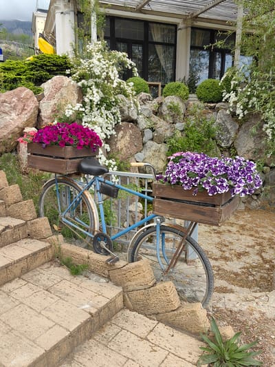 The image depicts a vintage blue bicycle decorated with wooden crates filled with colorful petunias, positioned next to a set of stone steps. The bicycle is stationary and appears to be used as a decorative element in an outdoor setting. The front crate contains purple and white speckled petunias, while the rear crate contains solid magenta petunias. The bicycle frame shows signs of wear and rust.
Behind the bicycle is a retaining wall constructed from large, irregularly shaped rocks. Various flowering plants and shrubs are interspersed among the rocks, adding to the garden-like ambiance. In the background, a building with large windows and a pergola roof is visible, suggesting a residential or commercial property. A yellow object resembling a small kayak or canoe is also visible atop a bush. The photograph may be from Luchistoe, Ukraine, as requested, but this is not explicitly evident within the image itself.