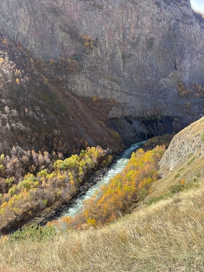 The scene depicts a deep river gorge within the city of Kvemo Okrokana, Georgia. A rapidly flowing river, characterized by light blue-green water and white rapids, traverses the lower central portion of the image. The river is bordered by steep banks heavily forested with deciduous trees displaying prominent autumn foliage in vibrant shades of yellow, orange, and some lingering green. Towering, vertically striated rock walls, indicative of columnar geological formations, flank both sides of the gorge, rising steeply. The left rock wall is partially shadowed and features several small waterfalls cascading directly into the river. The right rock wall is illuminated by sunlight. The immediate foreground consists of dry, golden-brown grass on a downward slope. No individuals, animals, or anthropogenic structures are present.