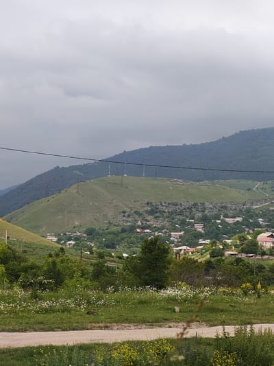 The image shows a cloudy, overcast day in Gugark, Armenia. The foreground features a dirt road with sparse yellow wildflowers and green grass. Beyond the road, a field of white and purple wildflowers stretches across a grassy slope. In the midground, a village with red-roofed houses is nestled among lush green trees. Further up the hill, a green mountain is dotted with more houses and structures. The background is dominated by a large, dark green mountain range shrouded in clouds. Two cell towers are visible on the slopes of the mountain, and power lines stretch across the scene. The overall atmosphere is serene and rural, with a hint of the industrial due to the towers.