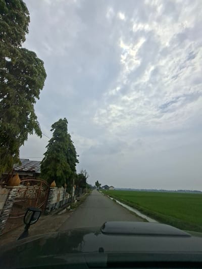 The image captures a view from a vehicle driving down a rural road, likely in Blangawe, Indonesia, under a cloudy sky. On the left side of the road, a decorative metal gate and a stone wall are visible, bordered by lush green trees. A tall, conical evergreen tree stands prominently near the gate. The road itself is paved and appears to be a two-lane street. To the right of the road, an expansive, vibrant green rice paddy stretches into the distance. A narrow irrigation canal runs alongside the paddy. In the background, several small houses and buildings are scattered among trees, and a distant treeline marks the horizon. The hood and side mirror of the vehicle are visible in the foreground, indicating the perspective of the photographer.