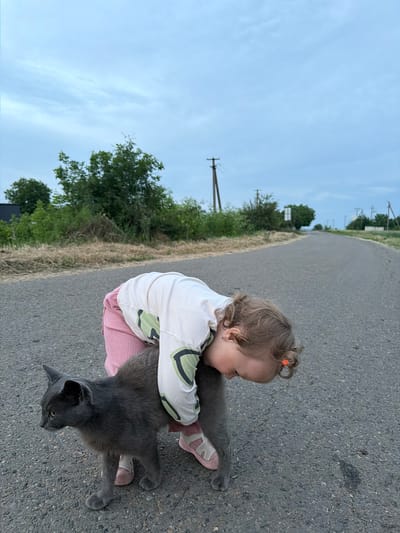 A young child, possibly female due to pink attire, is interacting with a grey cat on an asphalt road. The child is wearing a light-colored shirt with green and black graphic designs and pink striped pants. Their head is bent down, looking towards the cat, and one arm is wrapped around the cat's body. The cat, a short-haired grey breed with yellow eyes, is standing and looking to the left. The child's feet are clad in pink sandals, and the cat's paws are visible on the asphalt. The background features a rural landscape with dry grass and green bushes on the sides of the road, and utility poles visible in the distance. The sky is overcast with a pale blue hue, suggesting a cloudy day. The setting appears to be a paved road in a rural area, potentially Komsomolskiy, Russia, given the presence of utility poles and the general landscape.