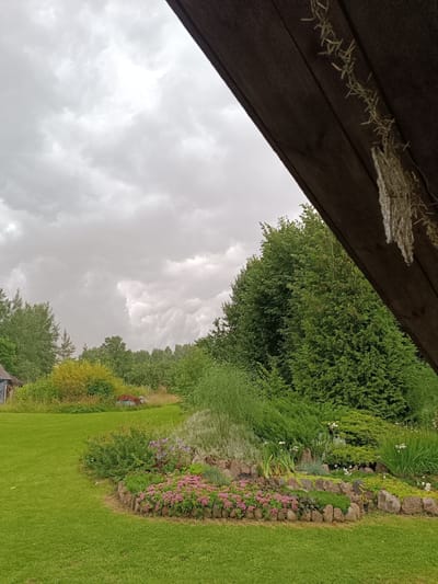 The image depicts a garden scene under an overcast sky, likely in a rural area, possibly Новапагосцкі сельскі Савет, Belarus. In the foreground, a meticulously kept green lawn curves around a raised flower bed bordered by stones. The flower bed features a variety of plants, including pink sedum and other low-growing flowers, interspersed with rocks and taller green foliage. To the right of the flower bed, a dense evergreen hedge forms a backdrop. Beyond the lawn and flower bed, there is a mix of trees and shrubs, with a yellow-leafed shrub prominently visible in the middle ground. A small, dark-colored structure, possibly a shed or outbuilding, is partially visible on the far left. The sky is filled with dramatic, grey clouds, suggesting impending rain. In the upper right corner, a portion of a dark wooden overhang is visible, with a decorative string of white objects hanging from it. No people are present in the scene.