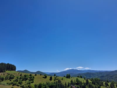 The scene presents a landscape in or near Alendarova, Bulgaria. A large, clear blue sky dominates the upper two-thirds of the frame. Below the sky is a rolling hillside, dotted with trees of varying sizes and types, and patches of green grass. Some areas of the hillside appear more wooded, while others are more open grassland. In the background are distant mountains. A cluster of taller trees is visible on the left side of the hillside. In the foreground on the bottom right corner a house is visible. The weather appears clear and sunny.