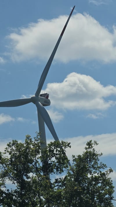 This is a low-angle shot of a wind turbine against a bright blue sky with scattered white clouds. One of the turbine's blades, which is long and pointed, extends diagonally from the lower left to the upper left of the frame, featuring a red and white striped tip. The central nacelle of the turbine is visible at the intersection of the blades and bears the "Vestas" logo. To the right of the turbine, a portion of a lush green tree with dense foliage is in the foreground, partially obscuring one of the turbine's blades. The scene suggests an outdoor, possibly rural setting in Calau, Germany, on a clear day. The lighting indicates it is daytime, likely midday given the brightness. No people are visible, and the overall impression is one of industrial technology harmonizing with nature. The image is oriented vertically, giving a sense of looking up at the imposing structure and the sky.