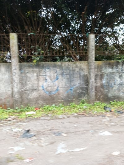 The scene depicts a neglected outdoor area in Vieng Phouka, Laos, viewed head-on under muted lighting. The lower third of the image features an uneven dirt ground, heavily soiled and scattered with assorted litter, including white plastic bags, dark plastic fragments, and indeterminate paper or fabric debris. Immediately above the ground, a strip of vibrant green, low-lying vegetation grows at the base of a weathered grey concrete wall. This wall displays extensive discoloration, dark grime patches, and multiple faint blue graffiti marks, one resembling a partial circular or U-shape. Two vertical concrete posts, one on the far left and another slightly right of center, extend upwards from the wall, supporting a rusty, dark brown metal fence with a grid-like pattern. Behind this fence, a dense mass of dark green foliage and bare tree branches occupies the upper background, indicating a heavily vegetated or overgrown area. No individuals or discernible actions are present in the frame.