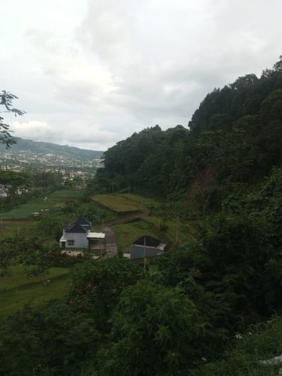 A verdant hillside scene shows a town nestled in the distance under a cloudy sky. A residential area features two prominent houses with gray roofs, surrounded by lush greenery and patches of cultivated land. The hillside is densely covered with trees and vegetation, transitioning from lower gardens to a thick forest climbing the slope. A paved road winds through the landscape. The image captures a serene blend of human habitation and natural environment.