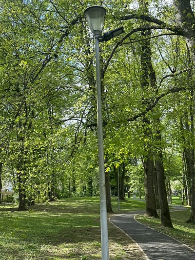 The image depicts a park in Nogent-sur-Oise, France, with a tree-lined path running parallel to a grassy lawn. A silver street lamp with a modern solar panel attachment is centrally positioned in the foreground. The foreground is occupied by an out-of-focus tree, where a dark, small bird sits on one of the branches. The background exhibits a pedestrian walkway populated with a few people. The scene is bright, lit by daylight.