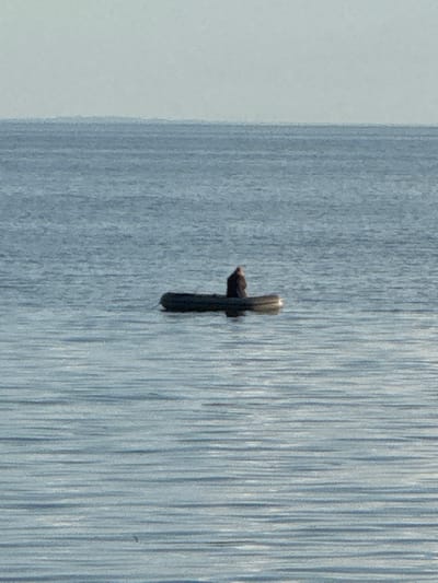 A person sits in a small inflatable boat in the middle of a body of water. The person is wearing dark clothing and appears to be facing away from the camera. The boat is dark in color and rests low in the water. The water itself is a calm, blue-gray, with subtle ripples. The horizon line is visible in the distance, separating the water from a pale, overcast sky. The scene is likely located in Shepelevo, Russia, given the context.