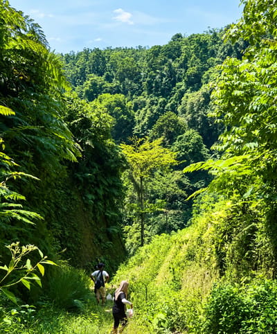 In Gunung Ambat, Indonesia, two individuals are walking along a narrow dirt path through a lush, green valley. The path is bordered by dense vegetation, with ferns and trees on either side. The man in front is wearing a white t-shirt, khaki shorts, and a backpack, while the woman behind him is wearing a black t-shirt and a headscarf. They are both facing away from the camera and appear to be exploring the natural landscape. The valley walls are covered in thick foliage, and sunlight filters through the trees, creating a vibrant and serene atmosphere. The overall impression is one of a peaceful excursion into a beautiful, natural environment.