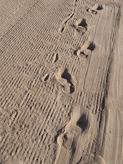 The image shows a close-up, overhead view of footprints in the sand. The sand is textured with parallel ridges, suggesting it has been raked or smoothed by a tool or wind. Several distinct footprints are visible, appearing to be from a single set of shoes or bare feet walking in a line. The footprints are impressed into the sand, with some areas showing deeper depressions than others, indicating varying pressure or sand consistency. The lighting casts shadows within the footprints, highlighting their depth and form. The context of La Mata, Spain, suggests this scene is likely on a beach or sandy area within the municipality.