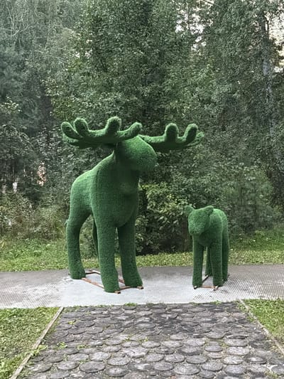 An outdoor scene in Zarechny, Russia, features two topiary sculptures of moose, one large and one small, set against a backdrop of lush green trees. The sculptures are made of a green, textured material resembling artificial grass. The larger moose, positioned on the left, stands tall with impressive antlers. The smaller moose, to its right, is positioned lower and appears to be a calf. Both sculptures are standing on a grey, patterned paved surface. In the foreground, a path made of circular wooden slices is visible. The surrounding environment is a naturalistic setting with dense foliage and trees.