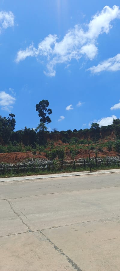 The image depicts a road leading towards a natural embankment under a bright blue sky dotted with fluffy white clouds. The embankment is covered in red earth and dense green foliage, with a solitary, tall tree standing prominently against the sky. At the base of the embankment, a retaining wall constructed from rocks and metal cages is visible. A paved road occupies the foreground of the image, with a narrow sidewalk running along the edge of the embankment. The scene appears to be located in the outskirts of Bo Y, Vietnam, a region known for its hilly terrain and natural beauty. No people are visible in the image, and no specific actions or interactions are taking place. The overall impression is one of a serene and picturesque natural landscape, possibly in a developing area where infrastructure is being built to manage the natural environment.