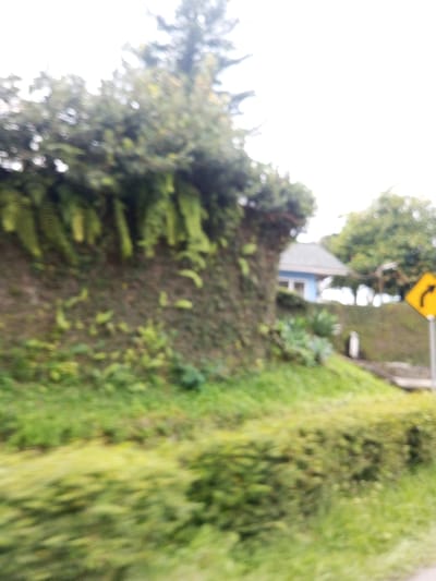 The image depicts a blurred outdoor scene in Sukanagalih, Indonesia, characterized by dense vegetation and architectural elements. On the left side, a prominent, steep slope or retaining wall is heavily covered with various green plants, including discernible ferns. Above this wall, blurred tree foliage extends against a bright, overcast sky. In the mid-ground, a light blue and white building with a dark-colored roof is partially visible, situated behind the vegetated slope. To the right of the building, a yellow diamond-shaped road sign featuring a black arrow curving to the right is present. The foreground consists of blurred green shrubbery and grass. No individuals, specific actions, or interactions are discernible due to the image's significant blur.