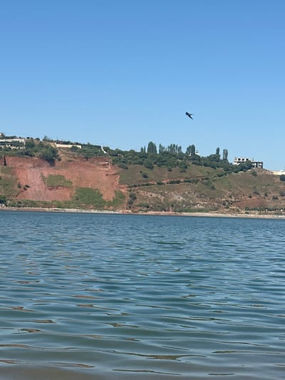 A wide shot captures a body of water in the foreground, with a red cliff face dotted with green vegetation and trees dominating the middle ground. A few buildings are visible on the crest of the cliff. The sky is a clear, bright blue, with a single black bird in flight in the upper right quadrant. The water is rippled, reflecting the sunlight. The scene suggests a coastal or lakeside setting under a clear sky.