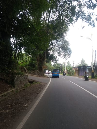 This image depicts a road scene within the city of Chhenangri_Rishor, Bhutan. The paved asphalt road extends into the distance, featuring a solid white line marking the left shoulder and a dashed white line separating traffic lanes. On the immediate left, a steep, densely vegetated embankment rises, dominated by a large tree displaying prominent aerial roots. A rectangular brown sign with white, partially legible text is suspended from this tree. Below the embankment, a stone retaining wall is visible, bordering a dirt shoulder adjacent to the road. Traffic flows away from the camera's perspective. A blue minivan is positioned in the left lane, followed by a person on a dark motorcycle. Further down the road on the right, another individual is operating a dark scooter. Additional vehicles, including cars and motorcycles, are visible in the far distance. The right side of the road features utility poles with overhead wires and a decorative white street lamp post. Beyond these elements, distant structures and more green foliage are present. The sky is bright and appears overcast, indicating daylight conditions.
