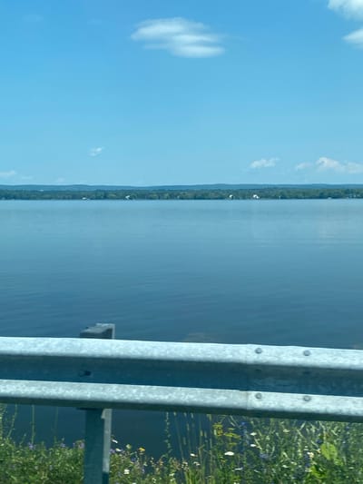 The image shows a wide, calm body of water under a clear blue sky with scattered white clouds. The horizon is lined with a dense green treeline, dotted with a few small white structures that appear to be houses. In the foreground, a silver guardrail runs horizontally across the frame, supported by metal posts. Below the guardrail, a patch of wildflowers in various colors, including purple and white, grows along the edge of the water. The scene appears to be a roadside view of a lake or large river in a rural or semi-rural setting. There is no indication of the specific location in East Hawkesbury, Canada, nor are there any people or specific actions depicted.