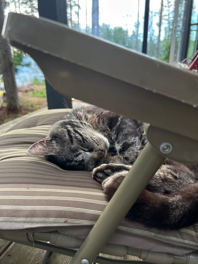 A tabby cat sleeps curled up on a striped cushion on an outdoor chair. The chair is positioned on a wooden deck, with a blurred background of trees and a body of water, suggesting a natural or rural setting. The scene appears to be a peaceful, private outdoor space. There are no people visible.