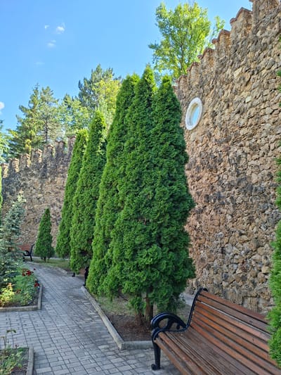 The image captures a view of the Milestii Mici winery complex in Moldova. A stone wall, likely part of the historic structure, runs along the right side of the frame. The wall is constructed from rough, irregular stones and features a small, circular window. In front of the wall, a row of tall, conical evergreen trees stands, creating a green barrier. A paved pathway, made of rectangular grey stones, curves through the scene, bordered by grass and shrubs. A wooden bench with black metal legs is positioned along the path, offering a place to rest. The sky above is a clear blue with a few wispy clouds. The overall impression is one of a well-maintained park or garden area adjacent to a historical building.