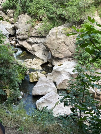 The image depicts an overhead view of a natural river gorge located in Tatev, Armenia. A dark-colored river with areas of white turbulent flow occupies the central and lower portions of the scene, winding between large, irregularly shaped rock formations. These rocks are predominantly light gray to beige, displaying smooth, water-eroded surfaces. Dense green vegetation, comprising trees and shrubs with broad leaves, covers the upper and lateral rock surfaces, particularly prominent on the left and right sides of the frame. A partial view of a light-colored wooden or bamboo structure is observable through the foliage on the mid-right. No human figures are present within the scene.