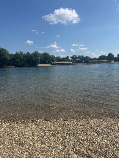The image presents a serene waterfront scene under a clear blue sky. In the foreground, a pebble beach or shoreline extends, composed of numerous small, light-colored stones and gravel. Adjacent to this, a calm body of water, likely a river or lake, fills the mid-ground. The water is notably clear, revealing the pebbled bed beneath its surface in the shallower areas near the shore.
Across the water, a distant bank is visible, characterized by a dense line of lush green trees. Along this treeline, several structures are discernable, including at least one building with a reddish roof. A series of yellow buoys or markers can be seen floating in the water closer to the distant bank.
The sky, occupying a significant portion of the upper left, is bright blue and clear, dotted with several fluffy white cumulus clouds. The lighting indicates it is daytime, likely late morning or early afternoon, with abundant sunlight. No people or visible text are present in the image. The setting suggests a peaceful natural or semi-natural environment, consistent with a river or lake shore in the Cukarica Urban Municipality, Serbia.