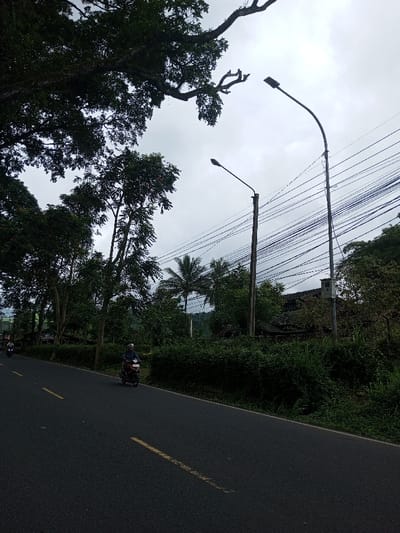 The scene depicts a road in Kodarapalli, India, under an overcast sky. The dark asphalt road features yellow dashed lines. In the mid-ground, a person wearing a helmet and a dark long-sleeved shirt rides a red motorcycle, traveling towards the left. A second motorcycle is visible in the distant left, also moving in the same direction. The left side of the road is flanked by a dense line of tall green trees and undergrowth. On the right, two streetlights with modern LED fixtures are present: one on a concrete pole and a taller one on a metal pole, both supporting multiple horizontal utility wires. A utility box is attached to the taller streetlight pole. Behind the poles, a palm tree and parts of a building with a dark roof are visible, obscured by dense foliage. Distant hills are faintly discernible in the background through the vegetation.