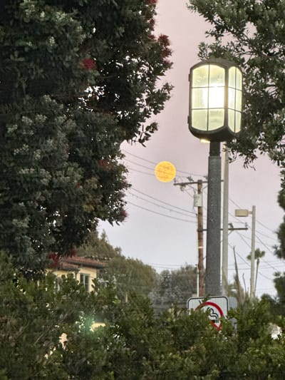 A full moon, appearing yellow, is visible in the sky behind some trees and power lines in Manhattan Beach, California. A street lamp is illuminated in the foreground, and a "no smoking" sign is present. In the background, a yellow building with a tiled roof can be seen. The overall scene appears to be outdoors, possibly in a residential or park area, during twilight or an overcast day.