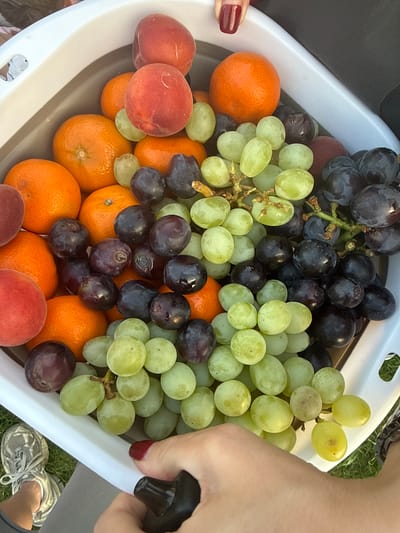 A top-down view of a white collapsible container filled with fruit. The container holds dark purple and green grapes, tangerines, and peaches. A hand holding a black object rests on the right side of the container. The scene includes parts of people and possibly their clothing, plus glimpses of a grassy area and sneakers. The location in the city of Кузнецово, Russia, is not known from the image.
