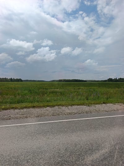 The image depicts a roadside view of a flat, green field under a cloudy sky. In the foreground, a paved road with a white line marking the lane runs horizontally across the bottom of the frame. To the right of the road, a strip of gravel and grass separates it from the field. The field itself is covered in lush green grass and dotted with scattered small purple flowers. A dense line of trees forms a dark green border in the distance, stretching across the horizon. The sky is filled with a mix of white and grey clouds, with patches of blue sky visible between them. There are no people, animals, or vehicles visible in the image. The scene suggests a rural or semi-rural landscape, possibly located outside of a city. Based on the visual evidence, it is not possible to definitively determine the location within Kamensk-Uralsky, Russia.