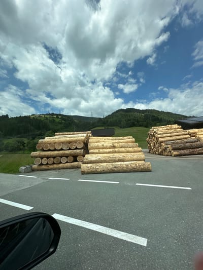This media file captures a sunny day in Reitdorf, Austria, with a clear blue sky dotted with white, fluffy clouds. The scene is dominated by large stacks of freshly cut logs, neatly piled along the side of a paved road. The logs vary in size and have a natural, rough texture, with some showing visible bark and others with smooth, cut ends revealing their circular grain.
The road itself is marked with white lines, indicating it's likely a public or industrial area. In the background, lush green hills rise, covered in dense forests and dotted with scattered houses, suggesting a rural or mountainous setting. Power lines can be seen traversing the hillside, hinting at the presence of infrastructure.
The image appears to be taken from inside a vehicle, as a side-view mirror is visible in the lower right corner, reflecting the surrounding environment. The overall impression is one of a working landscape, likely a lumber yard or a forestry operation, where timber is being processed or stored. The bright sunlight and the vibrant green of the landscape suggest a warm, pleasant time of day, likely during daylight hours in the summer or late spring. No people are visible in the frame, focusing the attention entirely on the natural and industrial elements of the scene.