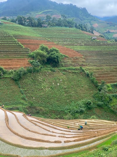 This detailed image captures a vast agricultural landscape of terraced fields in Dế Xu Phình, Vietnam, under an overcast sky. The scene is dominated by steep hillsides meticulously carved into numerous parallel terraces, which extend from the immediate foreground to the distant mountains.

In the lower foreground, a series of curved, water-filled rice paddies are visible, their surfaces reflecting the pale sky. Some of these paddies at the very bottom edge already show emergent green rice shoots. Several individuals are actively engaged in planting in these lower terraces: one person in an orange top is partially visible on the far left, another in a blue top bends over near a black container in a flooded paddy, and a third, wearing a light-colored conical hat and green top, also bends to plant further to the right. A fourth person, wearing a purple garment, is resting or lying on the edge of a dry paddy berm in the lower-midground.

Above these water-filled paddies, the terraces continue uphill, displaying a mosaic of cultivated land. Many terraces are bare, revealing reddish-brown tilled soil, while others are covered with vibrant green young crops, possibly vegetables or young rice plants, arranged in neat rows. A large, irregular cluster of dense green bushes and trees interrupts the terracing in the lower-midground.

Further up the hillside, two small, rustic wooden huts with dark roofs are nestled into separate terraces, blending into the environment. Two more individuals are faintly visible working on the higher, green-planted terraces in the midground. The upper slopes and distant mountains are also terraced, showing a mix of green crops and bare soil, with patches of natural forestation. The mountains recede into a hazy, cloud-covered horizon, completing the expansive agricultural panorama.