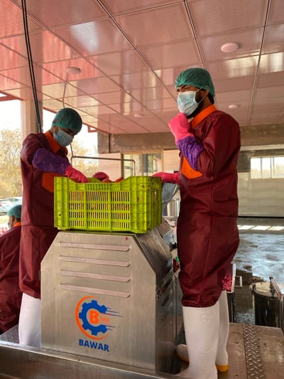 A person in protective gear, including a face mask, hairnet, maroon coat with orange accents, and pink and purple gloves, is working at a food processing plant. They are holding a green crate filled with red produce, likely fruits or vegetables, over a stainless steel machine labeled "Bawar B-tec." The machine appears to be part of a conveyor system. The background reveals a clean, tiled environment with wet flooring, typical of food processing facilities.