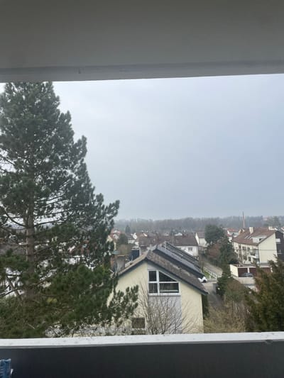 An elevated view from an unknown structure overlooks a residential area in Senden, Germany, under a uniformly overcast, light gray sky. The foreground features a dark gray balcony railing with a white upper edge, which horizontally bisects the lower portion of the image. A white overhead structure is visible at the very top of the frame.
To the left, a large, dark green evergreen tree with a prominent trunk stands, its foliage filling a significant portion of the left midground and extending towards the top. Below and to the right of the tree, several residential houses with pitched roofs are visible. The most prominent house in the midground has light cream-colored walls, a dark gray pitched roof, and a visible array of dark rectangular solar panels installed on one roof section. This house features a large, multi-paned window with a distinct triangular top section on its main facade.
Bare deciduous trees and bushes are interspersed throughout the residential landscape. A narrow, winding paved road is visible between the houses, and a white vehicle is partially discernible parked on or near this road. In the background, the residential area continues, gradually fading into a dense line of leafless trees forming a distant forest horizon. A tall, slender brick industrial chimney rises vertically above the distant treetops in the far right background. No individuals or specific actions are discernible within the frame.