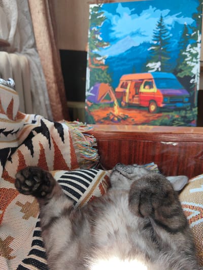 A grey tabby cat is sleeping on a patterned blanket. The cat is lying on its back with its paws in the air. Behind the cat, on a wooden surface, is a painting of a campsite with a van, tent, and campfire. The painting is in a simplified, colorful style. In the background, there are curtains and a radiator, suggesting an indoor setting. The scene is lit by natural light.