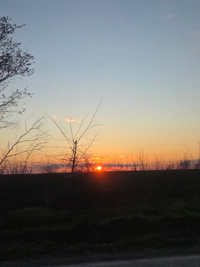 The image depicts a sunset over what appears to be a landscape near Koilovtsi, Bulgaria. The sky transitions from a pale blue to orange and red near the horizon, where the sun is setting. Silhouetted trees and branches are visible in the foreground. To the right of the image is a dark, undefined area that could be a field or a structure.