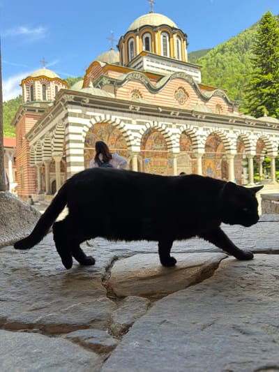 A medium, outdoor, eye-level shot captures a black cat climbing a gray stone wall adjacent to the Rila Monastery in Rilski Manastir, Bulgaria. The cat faces right, with its paws gripping the wall. Behind the cat, the monastery's distinct architecture is visible, featuring arched windows, striped columns, and a dome topped with a cross. The sky is blue with some wispy clouds. A blurred figure of a person is visible in the background near the monastery. Green trees are visible above the monastery.