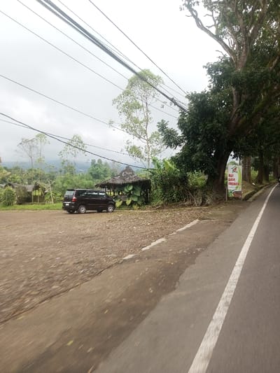 The scene depicts a semi-rural roadside environment in Kandapola, Sri Lanka, under an overcast sky. In the foreground on the right, an asphalt road with a continuous white line along its left edge extends into the distance. Adjacent to the road, on the left, a narrow paved strip transitions into a wide, unpaved dirt and gravel area.
On this dirt area, a dark-colored multi-purpose vehicle or minivan is parked, angled towards the left, with its rear visible. To the right of the parked vehicle, a rustic, open-sided shelter stands, featuring a dark, textured roof and large, leafy green plants growing around its base. Further left and deeper into the scene, a second, smaller, similar structure is partially visible amidst dense green vegetation.
A variety of trees and shrubs densely populate the area behind the structures and extend towards distant, rolling hills covered in greenery. Along the right side of the road, a continuous line of large, mature trees with prominent trunks and leafy canopies forms a boundary. A white rectangular sign with green text and a red and green logo is situated among these trees near the road, displaying text in an unidentifiable script. Multiple dark utility cables traverse the upper portion of the frame horizontally. No individuals or specific actions are discernible.