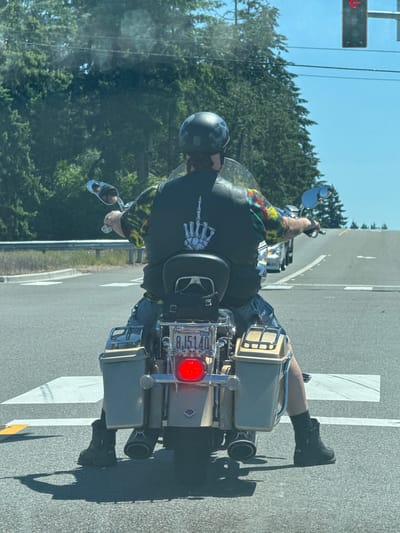 A person rides a motorcycle in Frederickson, United States of America. The rider is wearing a black helmet with a skull design and a tie-dye shirt under a black vest. The vest has a graphic of a skeleton hand giving the middle finger on the back. The motorcycle has saddlebags and a Washington state license plate that reads "BJ5140". The rider is at an intersection with a red traffic light. The environment is an urban or suburban area with trees and a clear blue sky.