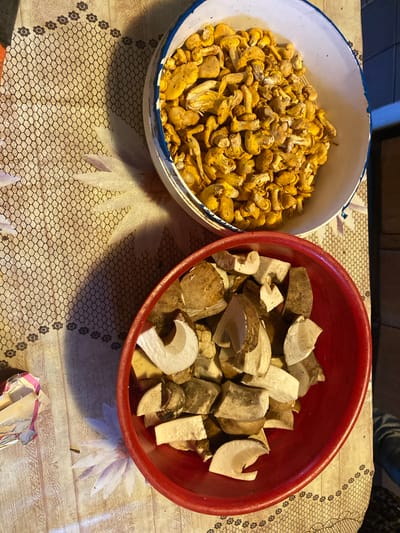 The image shows two bowls of mushrooms on a patterned tablecloth. The bowl on the top right is a white enamel bowl with a blue rim, filled with small, bright yellow chanterelle mushrooms. The bowl on the bottom right is a red plastic bowl, filled with larger, chopped brown and white mushrooms, possibly porcini mushrooms. The tablecloth has a light beige background with a lace-like pattern and a floral motif. A partially unwrapped foil package is visible on the left side of the image. The scene is lit from the right, casting a shadow of the top bowl onto the tablecloth. The background suggests an indoor setting, possibly a kitchen. This scene is located in the city of Ihnatpil, Ukraine.
