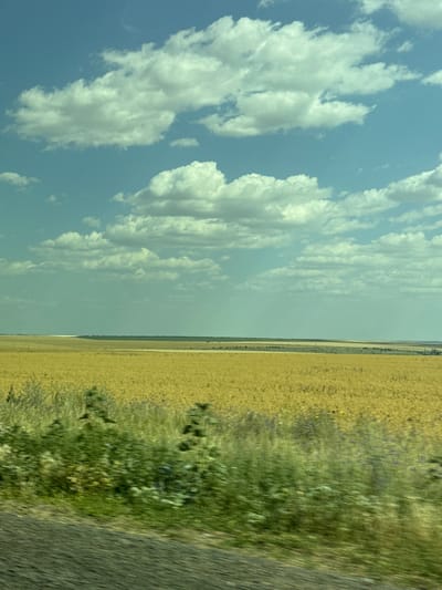 This is a landscape photograph taken from a moving vehicle, likely a car, showing a rural scene in Kalynivka, Ukraine. The image is oriented vertically, meaning the horizon line runs from top to bottom along the center. The left side of the frame is dominated by a bright blue sky filled with fluffy white clouds, suggesting fair weather and daylight. The right side of the frame depicts a vast, yellow-green field, possibly wheat or barley, stretching towards the horizon. A strip of green vegetation, possibly wildflowers or low bushes, borders the field and extends into the foreground. The rightmost part of the image shows a blurred, gray surface, likely the road or a shoulder, indicating the perspective of someone traveling. The overall impression is one of a serene, rural landscape on a sunny day. There is no visible text in the image.