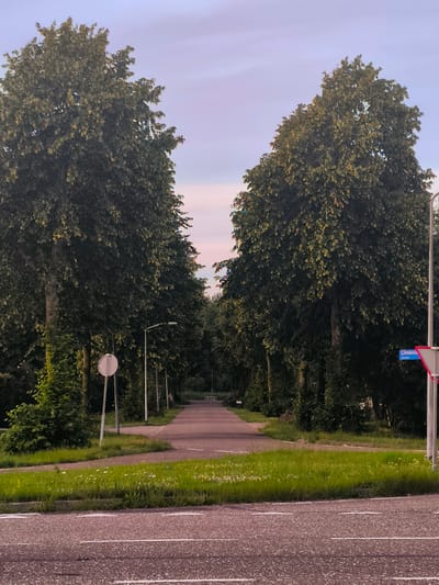 The image depicts a tree-lined pathway in Almere, Netherlands, likely during the late afternoon or early evening as suggested by the soft, pastel colors in the sky. The pathway, bordered by lush green grass and mature trees on either side, stretches into the distance, creating a sense of depth and perspective. Sunlight filters through the dense foliage of the trees, casting dappled shadows on the path.
On the right side of the pathway, a blue street sign with white text reads "Linnaeustraat," indicating the name of the street. Adjacent to the street sign is a triangular red and white traffic sign. A solitary streetlamp stands near the sign, and another is visible further down the path. On the left side, a circular white sign is mounted on a pole. The presence of these signs and streetlamps, along with the paved pathway and road in the foreground, suggests a residential or park-like area within the city.
The scene is peaceful and tranquil, with no people prominently visible, allowing the viewer to focus on the natural beauty of the surroundings and the architectural elements of the pathway and signs. The grass is dotted with small white wildflowers, adding a touch of delicate beauty to the scene. The overall impression is one of quiet serenity, bathed in the gentle light of a day transitioning into evening.