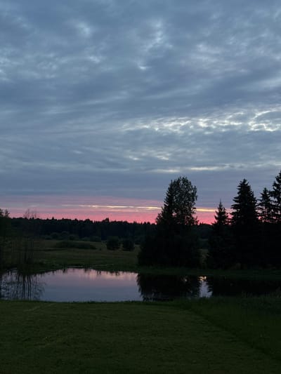 This is a full shot photograph of a dusky sky over a tranquil body of water, framed by dark trees and a grassy foreground. The sky is filled with textured, horizontal clouds in shades of gray, with a band of soft pink and yellow near the horizon, suggesting either sunrise or sunset. The water, a still pond or lake, reflects the muted colors of the sky and the silhouettes of bare branches and trees. The foreground consists of a dark green, well-maintained lawn. The background features a dense line of dark evergreen trees and other foliage. The overall impression is one of peaceful, natural beauty at dusk. The location is identified as Svetloe, Russia.