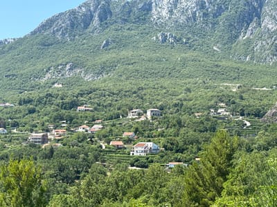 A wide-angle, eye-level shot captures a sunlit hillside village nestled amongst lush green trees and against a backdrop of a rugged, rocky mountain under a clear blue sky. The village, characterized by its red-tiled roofs and white-walled houses, is spread across the terraced slopes. In the foreground, dense green trees frame the scene, with a prominent pine tree on the right. Roads wind through the village, connecting the scattered residences. The mountain's rocky, barren face contrasts with the verdant vegetation covering its lower slopes. The overall impression is one of a tranquil, rural settlement integrated into its natural mountainous environment.