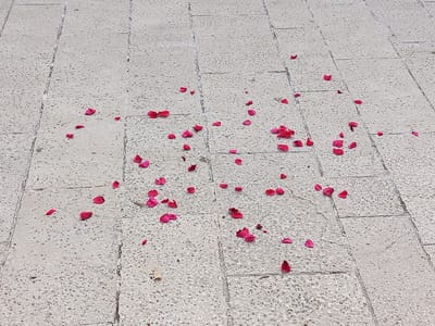 The image depicts a scattering of red rose petals on a textured, light-colored paved surface composed of rectangular stones. The petals are spread unevenly across the foreground and midground. The lighting suggests an outdoor setting, possibly a public walkway or plaza. There is no clear indication of the specific location within Trebinje, Bosnia and Herzegovina, nor any signs of human activity or other environmental features that would provide further context. The paved surface exhibits visible cracks between the stones, and some of the stones show a speckled texture.